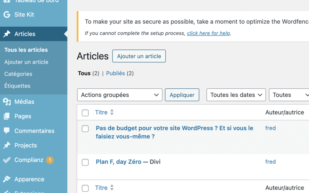 PlanF 3 Pas de budget pour votre site WordPress ? Et si vous le faisiez vous-même ?